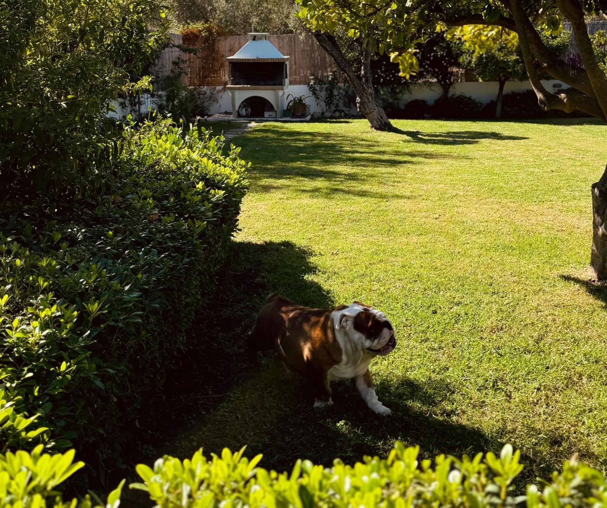 Archangelos Garden House Exterior foto